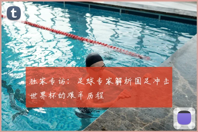 独家专访：足球专家解析国足冲击世界杯的艰辛历程