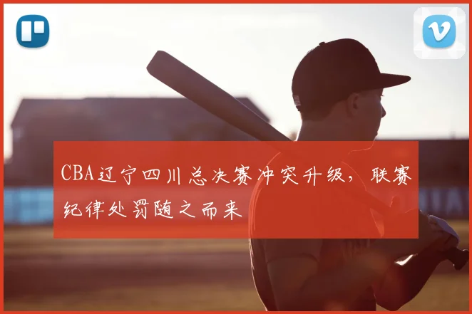 CBA辽宁四川总决赛冲突升级，联赛纪律处罚随之而来