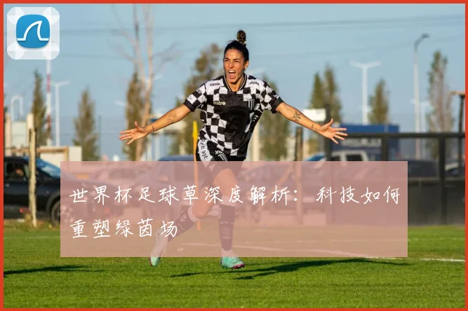 世界杯足球草深度解析:科技如何重塑绿茵场