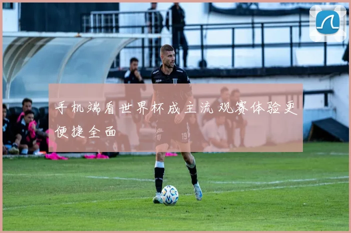 手机端看世界杯成主流 观赛体验更便捷全面
