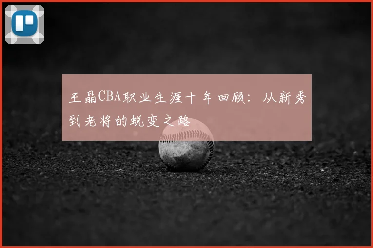 王晶CBA职业生涯十年回顾：从新秀到老将的蜕变之路