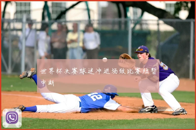世界杯决赛球迷冲进场致比赛短暂中断
