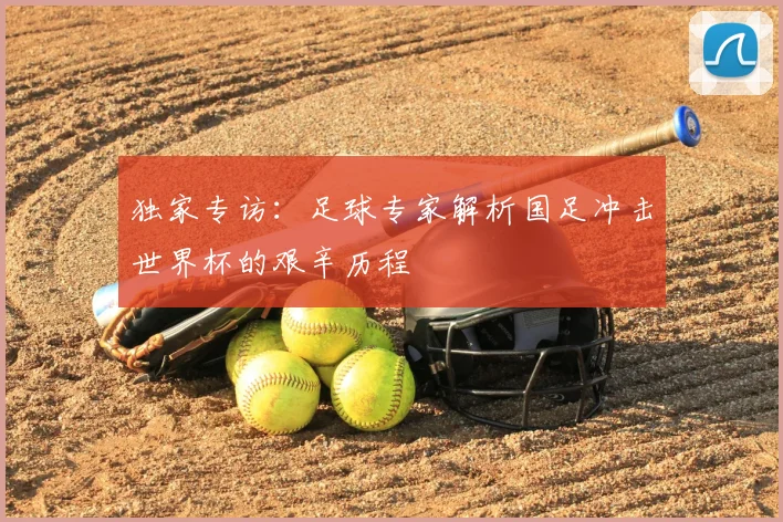 独家专访：足球专家解析国足冲击世界杯的艰辛历程