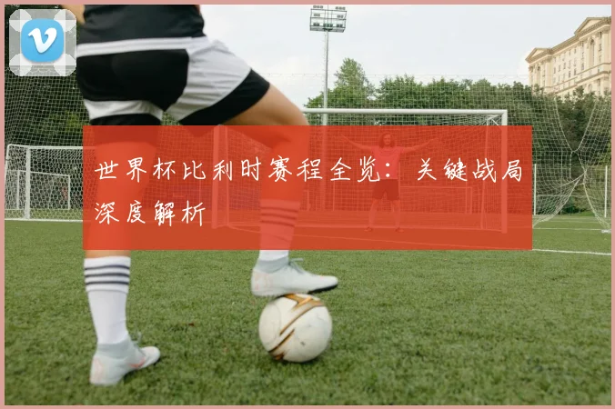 世界杯比利时赛程全览：关键战局深度解析